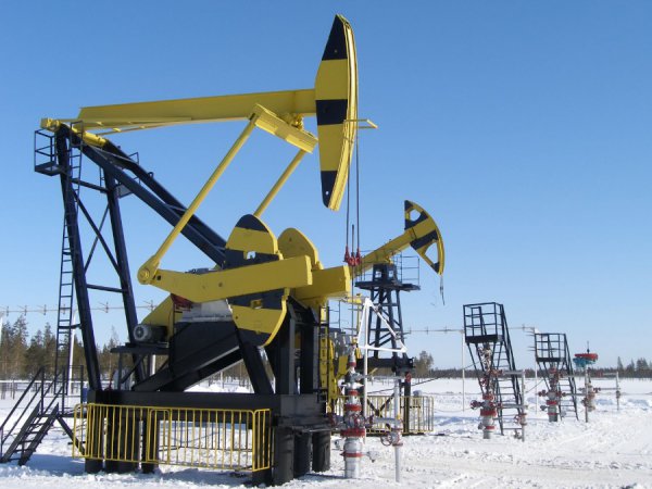 СМИ: в OPEC заподозрили Казахстан в невыполнении соглашения