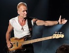 sting