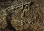 Cакские золотые украшения найдены при раскопках кургана на юге Казахстана